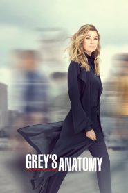 Grey’s Anatomy TV Series | Where to Watch?