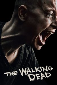 The Walking Dead soap2day